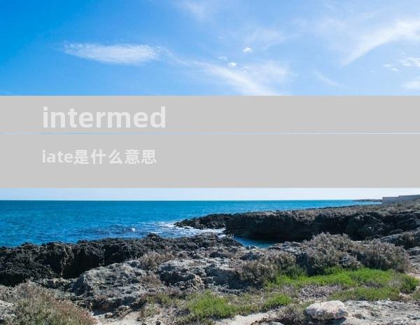 intermediate是什么意思