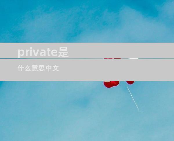 private是什么意思中文