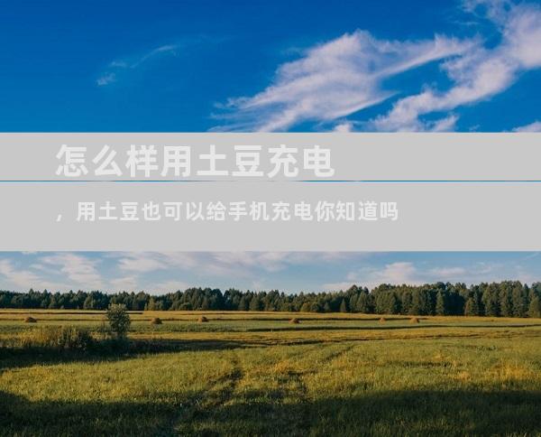 怎么样用土豆充电，用土豆也可以给手机充电你知道吗