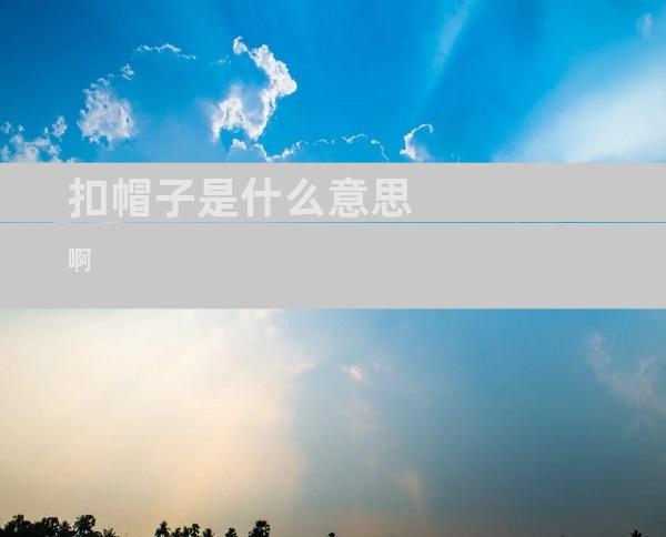 扣帽子是什么意思啊