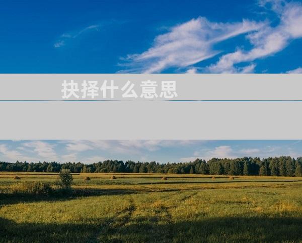 抉择什么意思