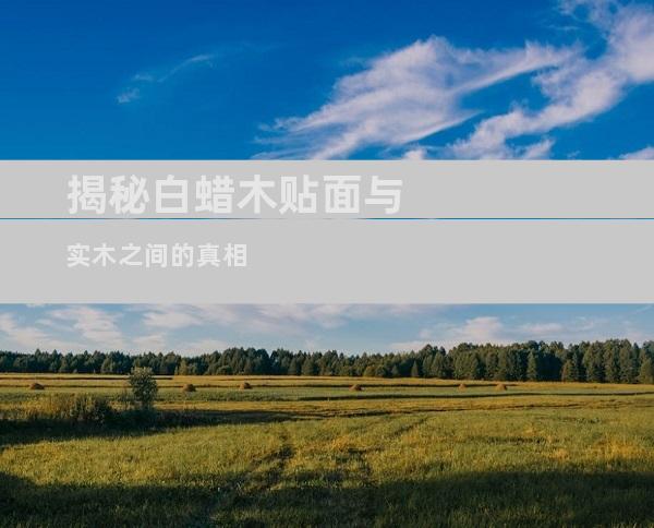 揭秘白蜡木贴面与实木之间的真相