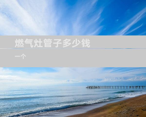 燃气灶管子多少钱一个