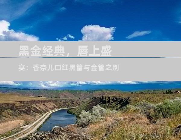 黑金经典，唇上盛宴：香奈儿口红黑管与金管之别
