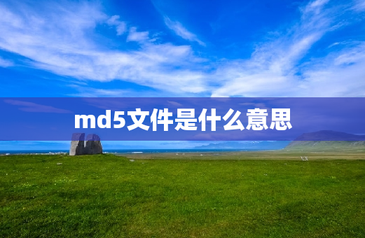 md5文件是什么意思