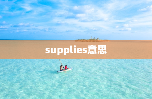 supplies意思