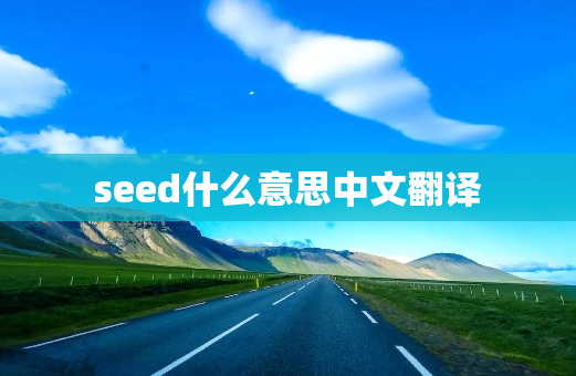 seed什么意思中文翻译