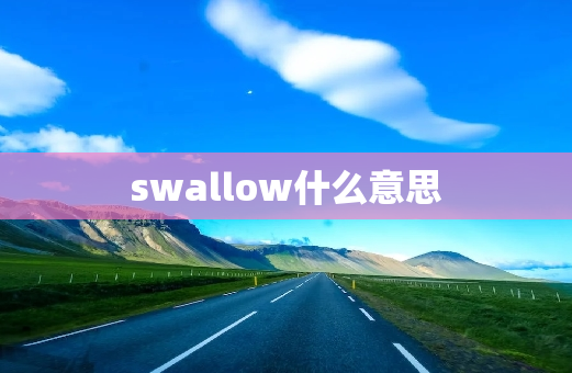 swallow什么意思