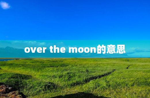 over the moon的意思