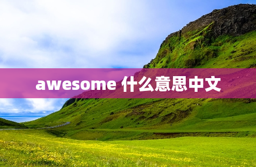 awesome 什么意思中文