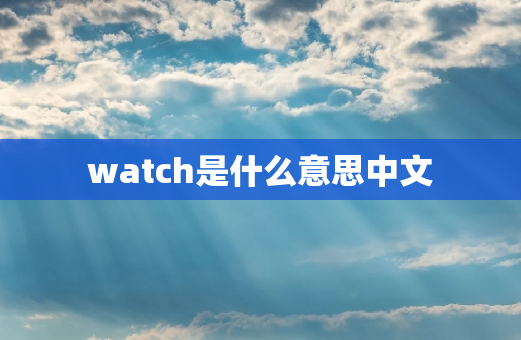 watch是什么意思中文