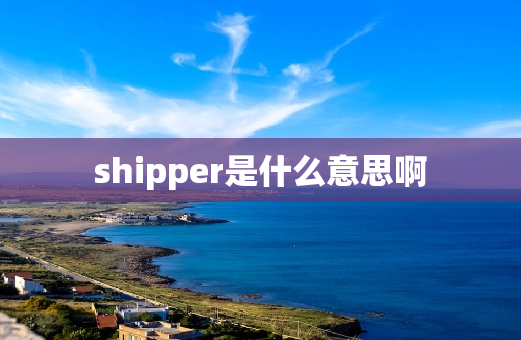 shipper是什么意思啊