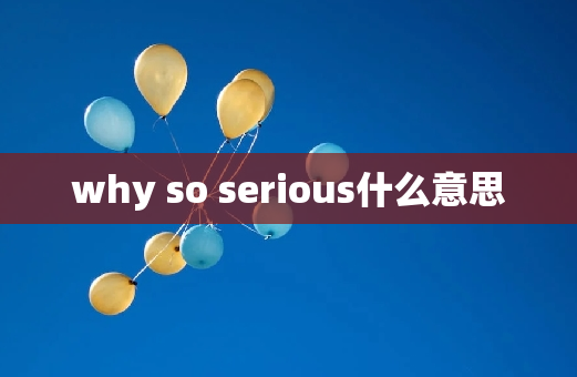 why so serious什么意思