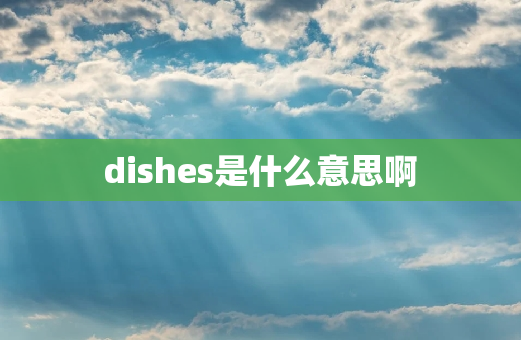 dishes是什么意思啊