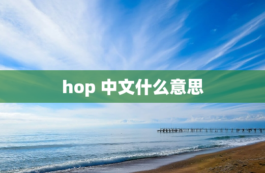 hop 中文什么意思