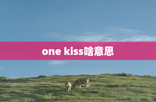 one kiss啥意思