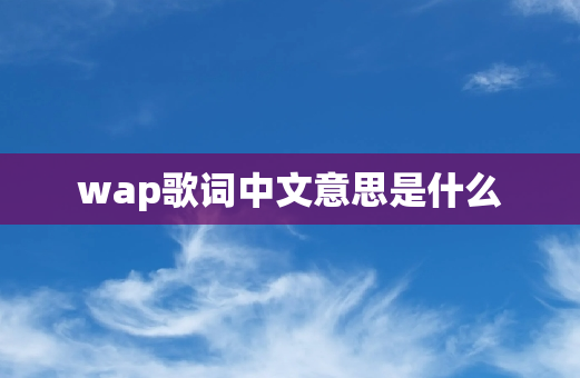 wap歌词中文意思是什么