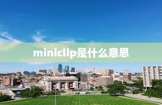 miniclip是什么意思