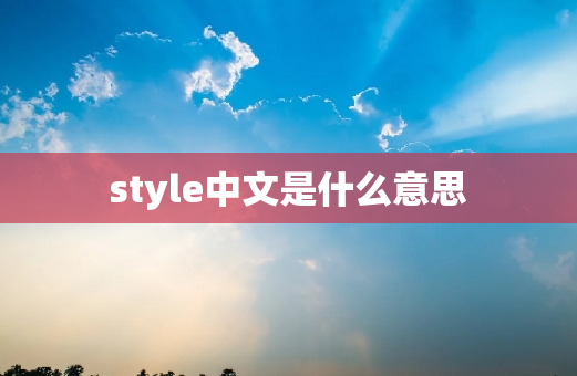 style中文是什么意思