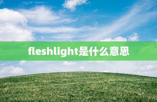 fleshlight是什么意思