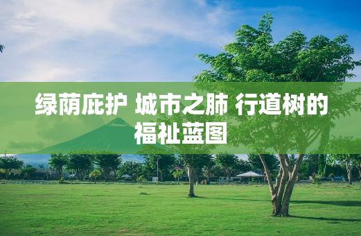绿荫庇护 城市之肺 行道树的福祉蓝图