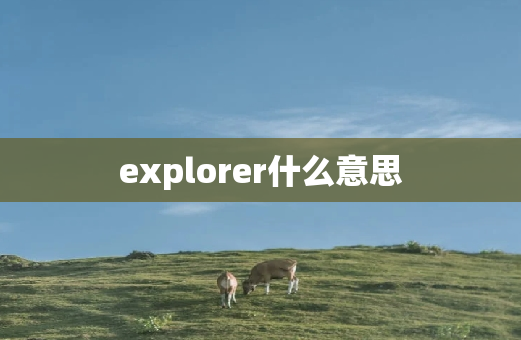 explorer什么意思
