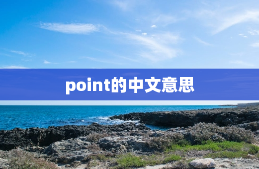 point的中文意思