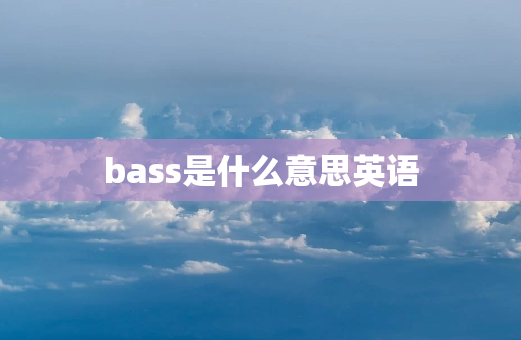 bass是什么意思英语