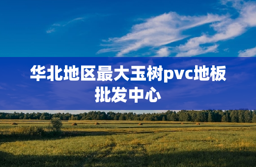 华北地区最大玉树pvc地板批发中心