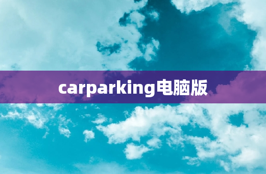 carparking电脑版