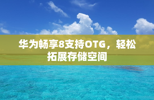 华为畅享8支持OTG，轻松拓展存储空间