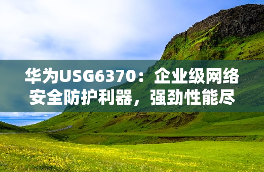 华为USG6370：企业级网络安全防护利器，强劲性能尽在其中