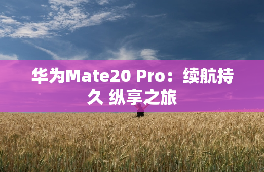 华为Mate20 Pro：续航** 纵享之旅