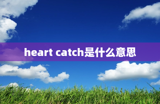 heart catch是什么意思